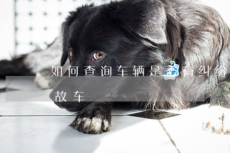 如何查询车辆是否有纠纷(如何查车是不是事故车)