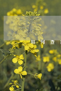 如何查貸款逾期記錄(如何查詢貸款逾期)