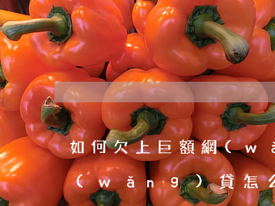 如何欠上巨額網(wǎng)貸(欠下大量網(wǎng)貸怎么辦?)