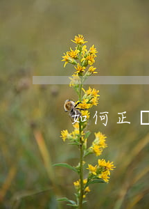 如何正確寫欠條(欠條怎么寫才有效)