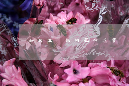 如何正確挽回死心老婆 如何正確挽回死心老婆