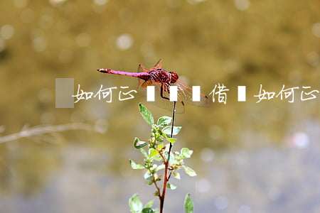 如何正確書寫借條，如何正確書寫借條草圖