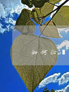 如何正確的寫欠條(如何寫欠條才是最有效的)