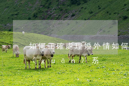 如何正確處理婚外情(如何正確處理婚外情關(guān)系)