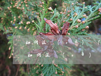 如何注冊(cè)個(gè)體工商戶(微信如何注冊(cè)個(gè)體工商戶)