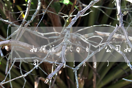 如何注冊(cè)公司(如何注冊(cè)公司營(yíng)業(yè)執(zhí)照)
