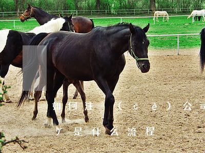 如何注冊(cè)公司流程(公司注冊(cè)是什么流程)