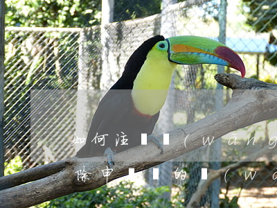 如何注銷網(wǎng)貸消除逾期(如何清除申請過的網(wǎng)貸)