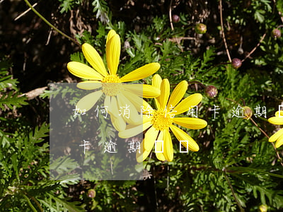 如何消除信用卡逾期記錄（多久可以消除信用卡逾期記錄）