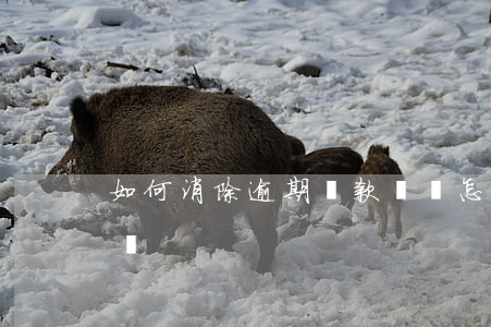 如何消除逾期貸款記錄(怎么處理貸款逾期記錄)