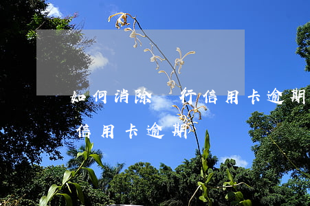 如何消除銀行信用卡逾期記錄（如何消除銀行信用卡逾期記錄）