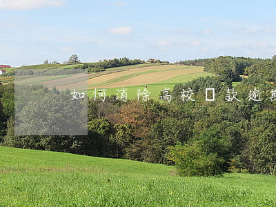 如何消除高校貸款逾期(高校貸款怎么還)