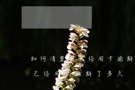 如何清楚自己信用卡逾期了多久(如何清楚自己信用卡逾期了多久)
