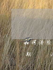 如何清除信用卡逾期記錄(如何清除信用卡逾期記錄清單)