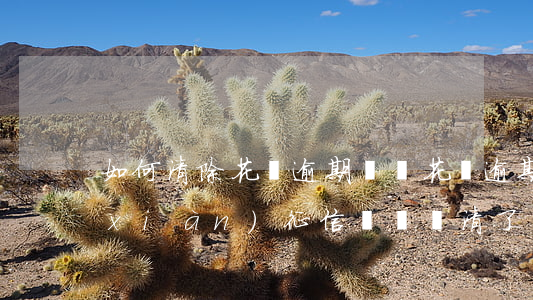 如何清除花唄逾期記錄(花唄逾期久了出現(xiàn)征信記錄還清了多久可以消除征信記錄)