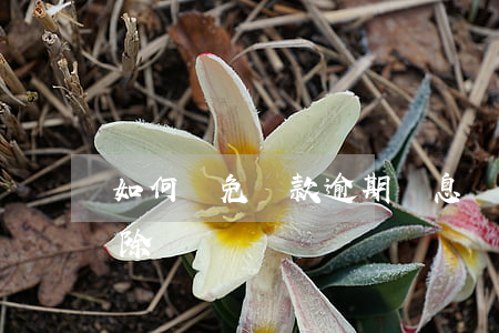 如何減免貸款逾期罰息(銀行貸款罰息可以免除嗎)