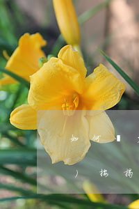 如何減少手機(jī)還款逾期(手機(jī)按揭逾期了怎么還)