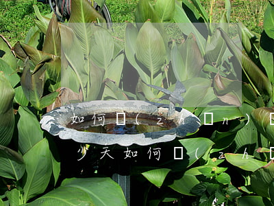 如何準(zhǔn)確查看信用卡逾期了多少天(如何準(zhǔn)確查看信用卡逾期了多少天了)