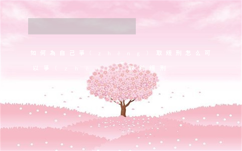 如何為自己爭(zhēng)取緩刑(怎么可以爭(zhēng)取判緩刑)