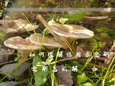 如何理解信用卡逾期狀態(tài)(信用卡逾期怎么解釋合適)