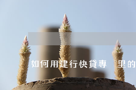 如何用建行快貸專戶里的錢還款-