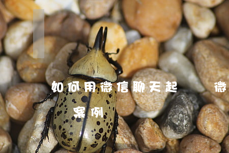 如何用微信聊天起訴(憑微信聊天記錄起訴勝訴案例)