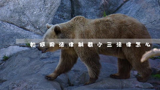 如何用法律制裁小三(法律怎么處理小三)