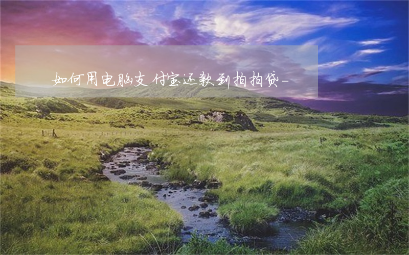 如何用电脑支付宝还款到拍拍贷-