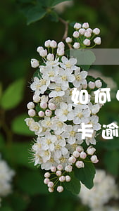 如何申請(qǐng)信用卡逾期免息(信用卡逾期怎樣申請(qǐng)免息)