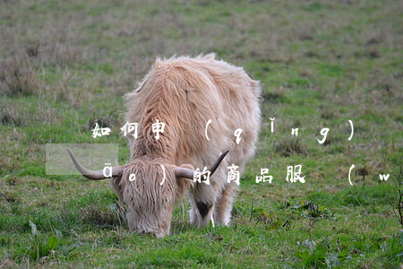 如何申請(qǐng)刪減,增加商標(biāo)的商品服務(wù)項(xiàng)目