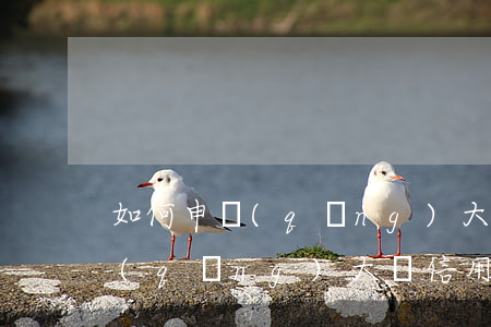 如何申請(qǐng)大額信用卡(如何申請(qǐng)大額信用卡)