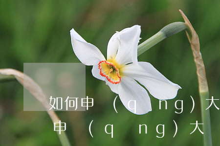 如何申請(qǐng)大額度信用卡-如何申請(qǐng)大額度信用卡