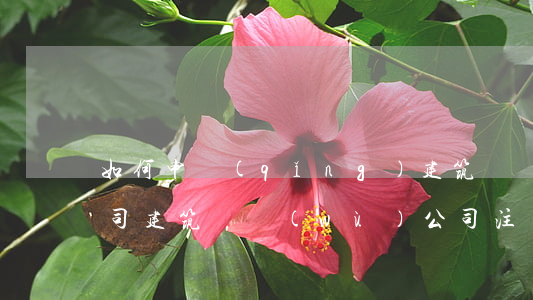 如何申請(qǐng)建筑勞務(wù)公司（建筑勞務(wù)公司注冊(cè)條件是什么）