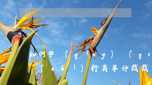 如何申請(qǐng)強(qiáng)制執(zhí)行商事仲裁裁決