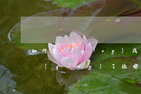 如何申請(qǐng)成為法律援助律師(申請(qǐng)了法律援助,律師給做什么?)