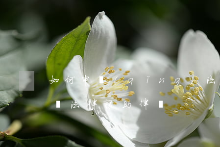如何申請(qǐng)法律援助律師(如何成為法律援助律師)