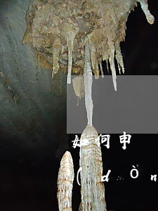 如何申請(qǐng)確認(rèn)勞動(dòng)關(guān)系（確認(rèn)勞動(dòng)關(guān)系糾紛的審理情況）
