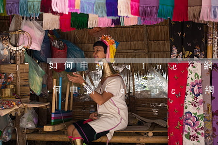 如何申請(qǐng)網(wǎng)貸(如何申請(qǐng)網(wǎng)貸延期還款)