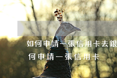 如何申請一張信用卡去銀行咨詢英語對話（如何申請一張信用卡）