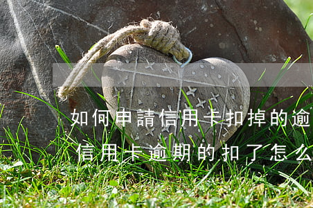 如何申請信用卡扣掉的逾期利息(房貸的錢被信用卡逾期的扣了怎么辦)