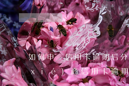 如何申請信用卡逾期后分期(怎么去銀行協(xié)商信用卡逾期分期)