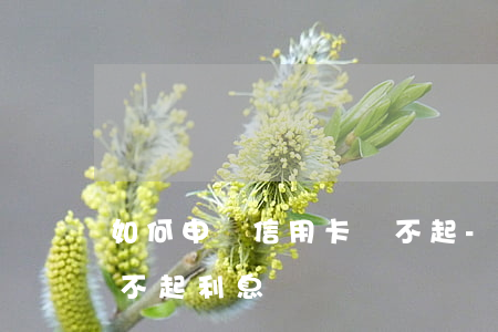 如何申請信用卡還不起-如何申請信用卡還不起利息