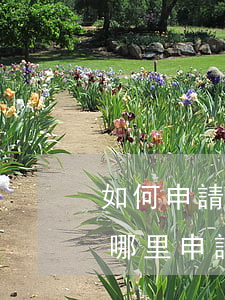 如何申請免費的法律援助(免費的法律援助在哪里申請)