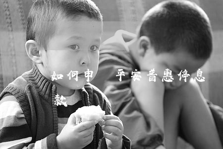 如何申請平安普惠停息掛賬(平安普惠每天扣款時間)