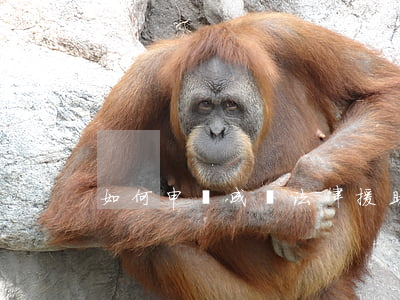 如何申請成為法律援助律師