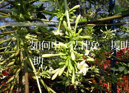 如何申請法律免費援助(怎么尋求免費法律援助)