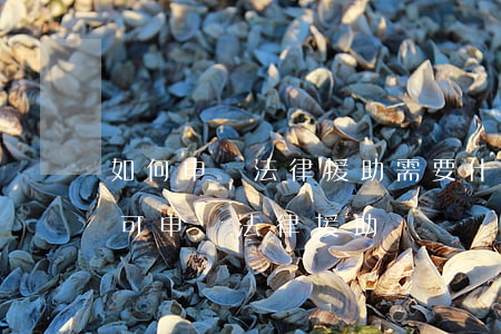 如何申請法律援助需要什么條件(什么條件才可申請法律援助)