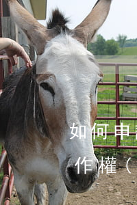 如何申請版權(quán)注冊登記（申請著作權(quán)登記應(yīng)準(zhǔn)備什么材料）