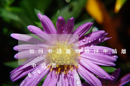 如何申請離婚(如何申請離婚協(xié)議申請書)