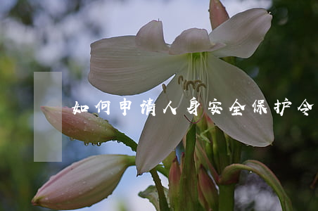 如何申请人身安全保护令？